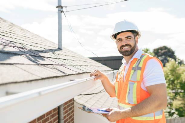 Roof Gutter Cleaning in Los Luceros, NM